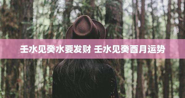 壬水见癸水要发财 壬水见癸酉月运势