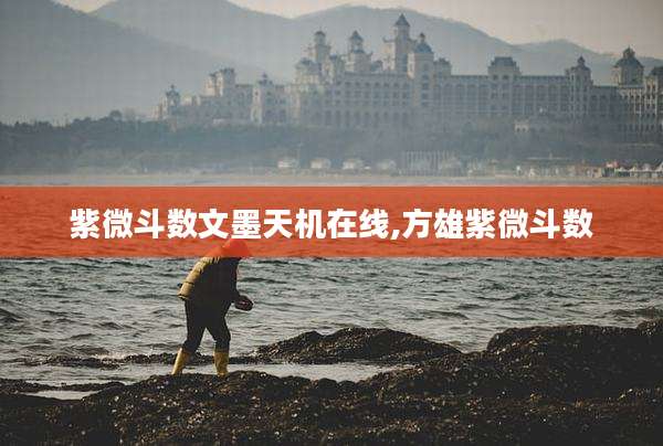 紫微斗数文墨天机在线,方雄紫微斗数
