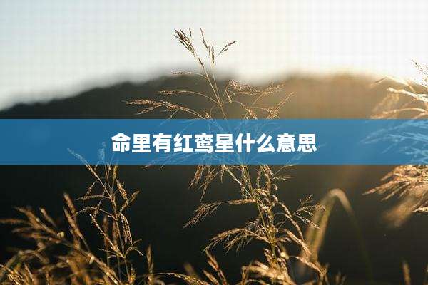 命里有红鸾星什么意思