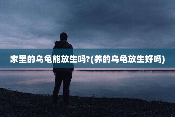 家里的乌龟能放生吗?(养的乌龟放生好吗)