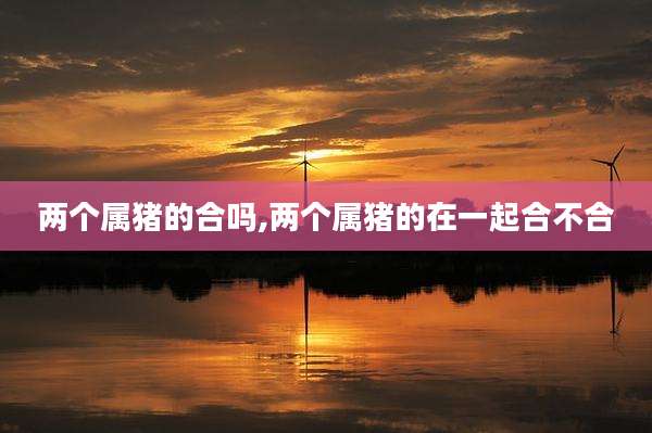 两个属猪的合吗,两个属猪的在一起合不合