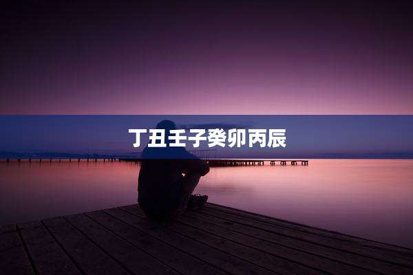 丁丑壬子癸卯丙辰