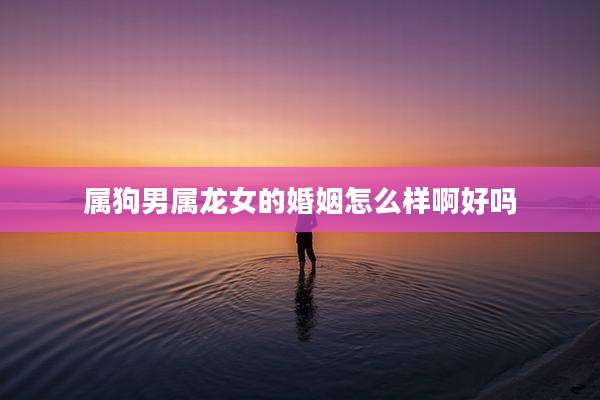 属狗男属龙女的婚姻怎么样啊好吗