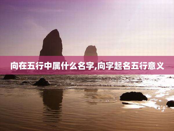 向在五行中属什么名字,向字起名五行意义