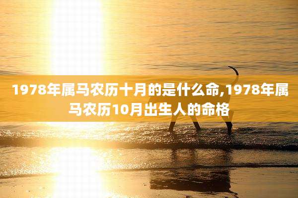 1978年属马农历十月的是什么命,1978年属马农历10月出生人的命格