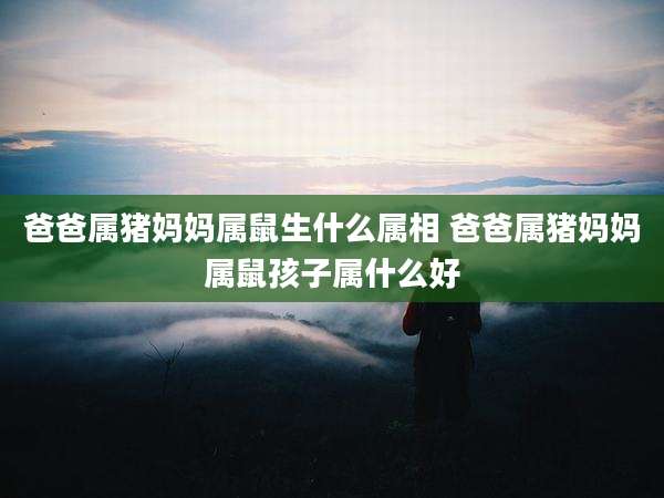 爸爸属猪妈妈属鼠生什么属相 爸爸属猪妈妈属鼠孩子属什么好