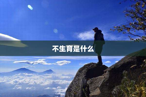 不生育是什么