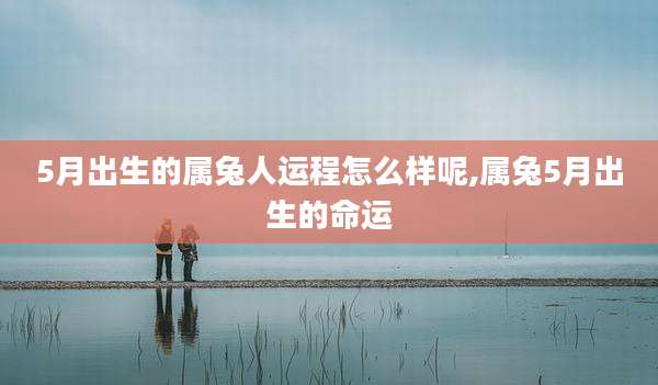 5月出生的属兔人运程怎么样呢,属兔5月出生的命运