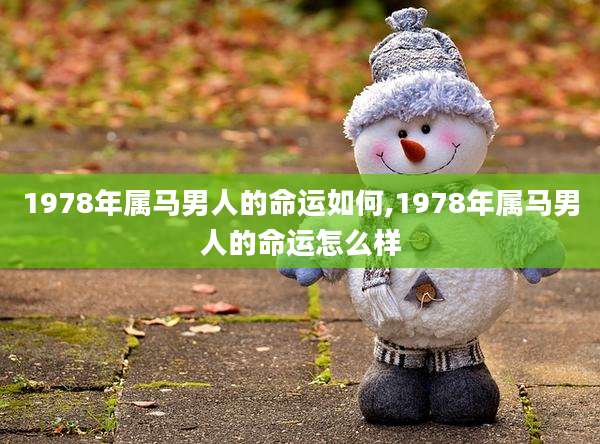 1978年属马男人的命运如何,1978年属马男人的命运怎么样