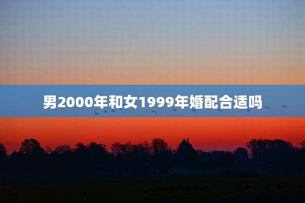 男2000年和女1999年婚配合适吗