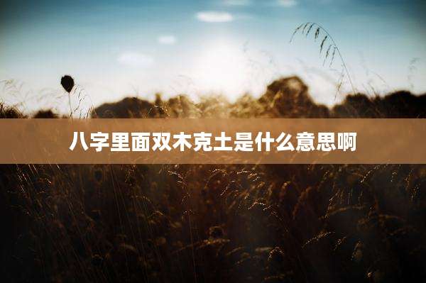 八字里面双木克土是什么意思啊