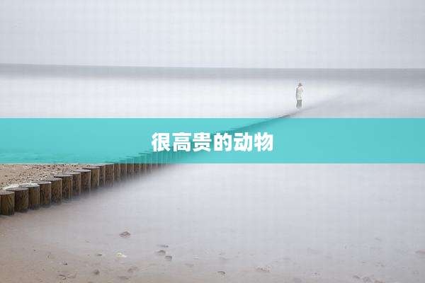 很高贵的动物