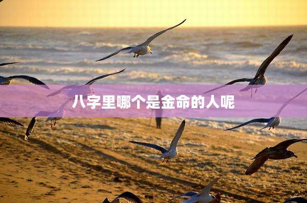 八字里哪个是金命的人呢