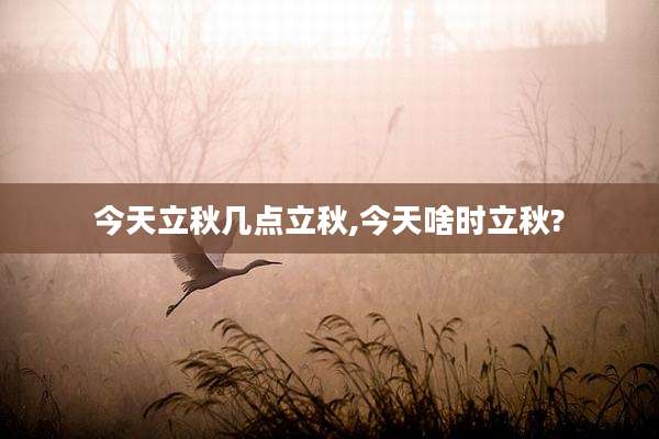 今天立秋几点立秋,今天啥时立秋?