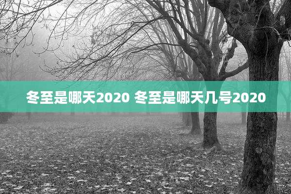 冬至是哪天2020 冬至是哪天几号2020