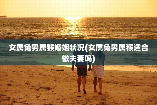 女属兔男属猴婚姻状况(女属兔男属猴适合做夫妻吗)