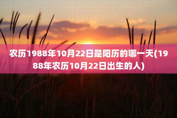 农历1988年10月22日是阳历的哪一天(1988年农历10月22日出生的人)
