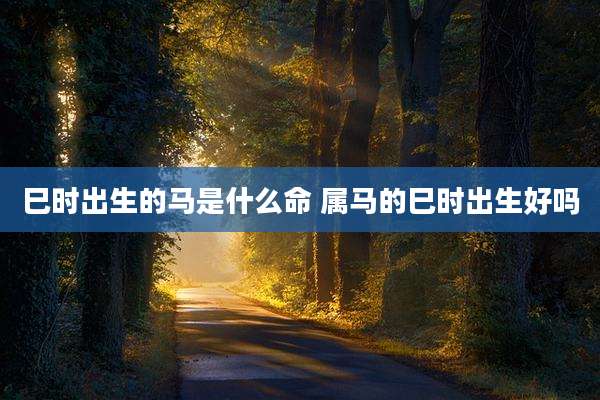 巳时出生的马是什么命 属马的巳时出生好吗
