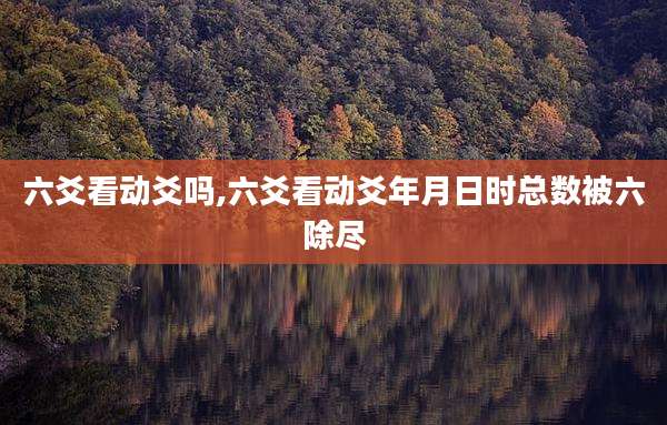六爻看动爻吗,六爻看动爻年月日时总数被六除尽