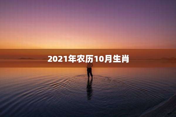 2021年农历10月生肖