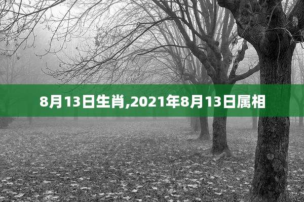 8月13日生肖,2021年8月13日属相