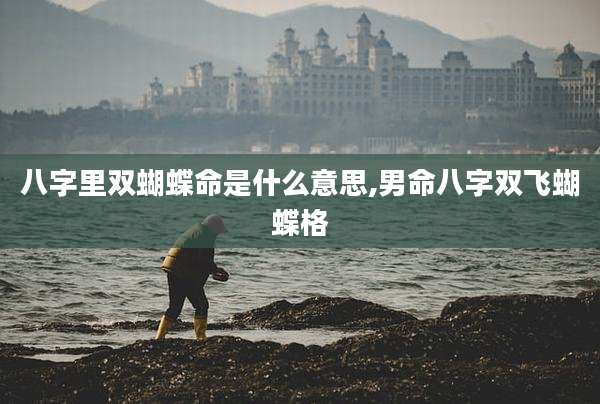 八字里双蝴蝶命是什么意思,男命八字双飞蝴蝶格