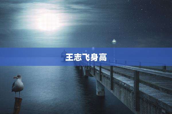 王志飞身高