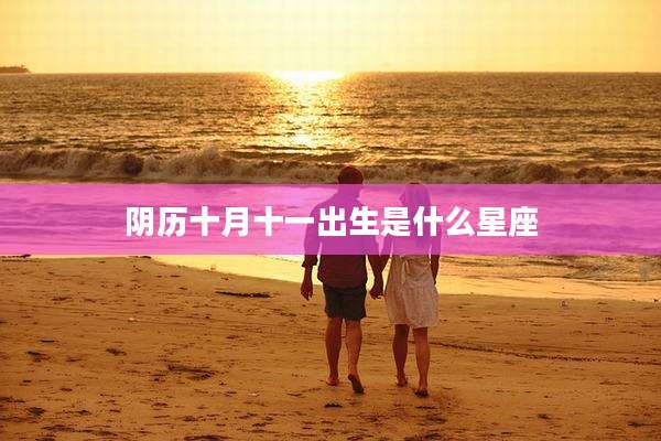 阴历十月十一出生是什么星座