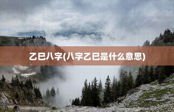 乙巳八字(八字乙巳是什么意思)