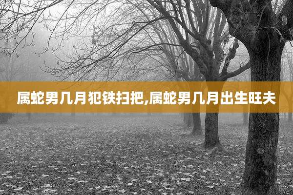 属蛇男几月犯铁扫把,属蛇男几月出生旺夫