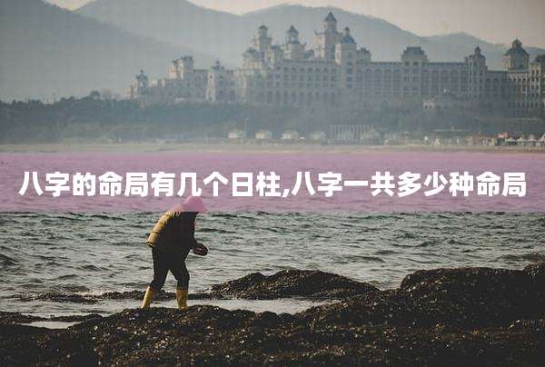 八字的命局有几个日柱,八字一共多少种命局