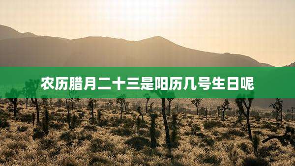 农历腊月二十三是阳历几号生日呢