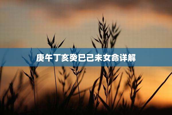 庚午丁亥癸巳己未女命详解