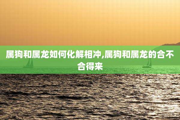 属狗和属龙如何化解相冲,属狗和属龙的合不合得来
