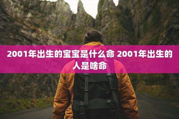 2001年出生的宝宝是什么命 2001年出生的人是啥命