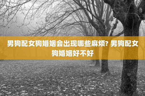 男狗配女狗婚姻会出现哪些麻烦? 男狗配女狗婚姻好不好