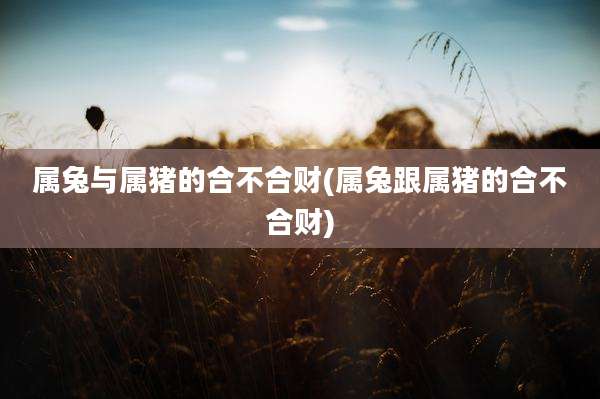 属兔与属猪的合不合财(属兔跟属猪的合不合财)