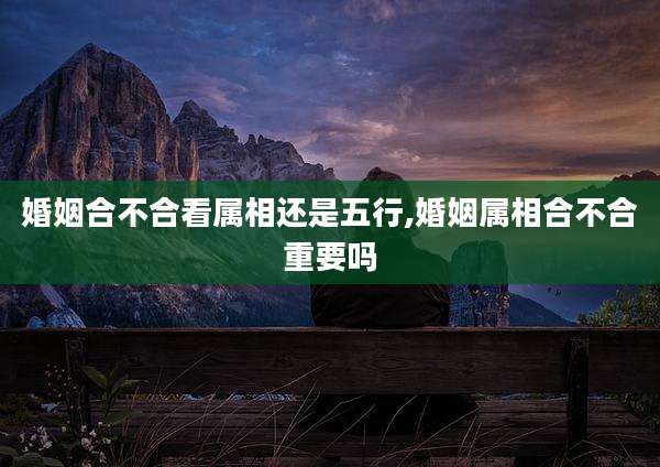 婚姻合不合看属相还是五行,婚姻属相合不合重要吗