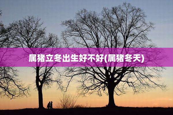 属猪立冬出生好不好(属猪冬天)