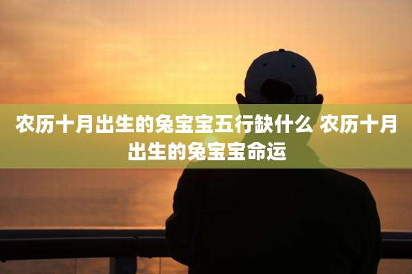 农历十月出生的兔宝宝五行缺什么 农历十月出生的兔宝宝命运
