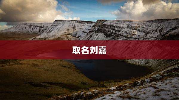 取名刘嘉