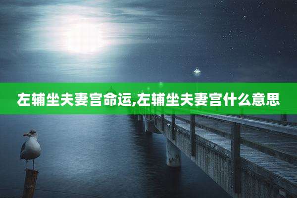 左辅坐夫妻宫命运,左辅坐夫妻宫什么意思
