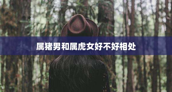 属猪男和属虎女好不好相处