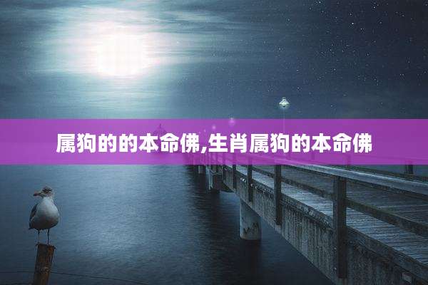 属狗的的本命佛,生肖属狗的本命佛