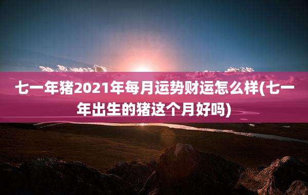 七一年猪2021年每月运势财运怎么样(七一年出生的猪这个月好吗)