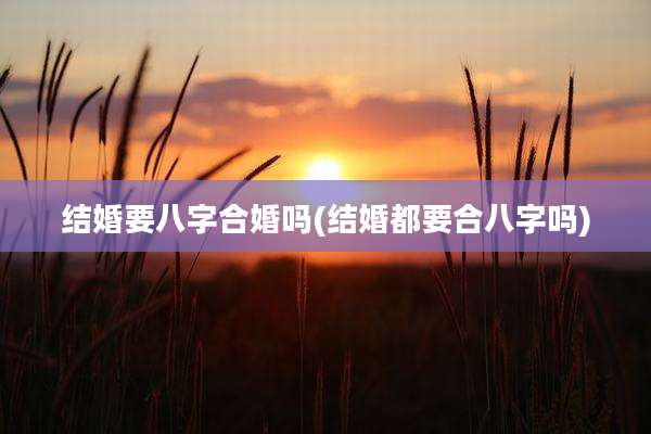 结婚要八字合婚吗(结婚都要合八字吗)