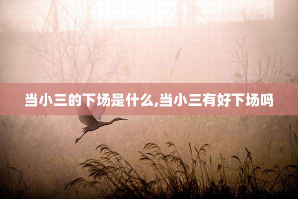 当小三的下场是什么,当小三有好下场吗