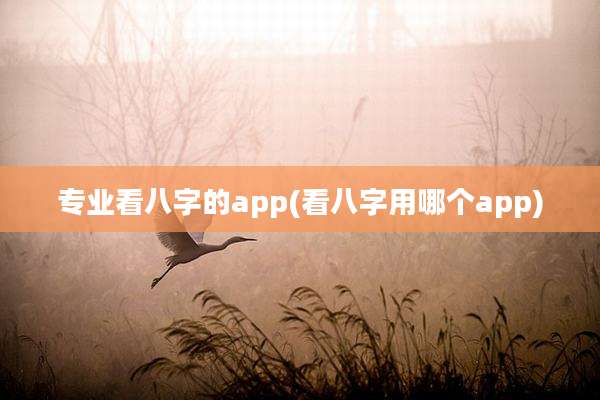 专业看八字的app(看八字用哪个app)