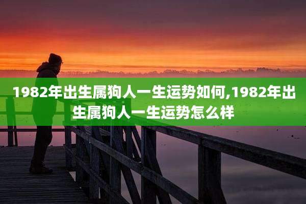 1982年出生属狗人一生运势如何,1982年出生属狗人一生运势怎么样