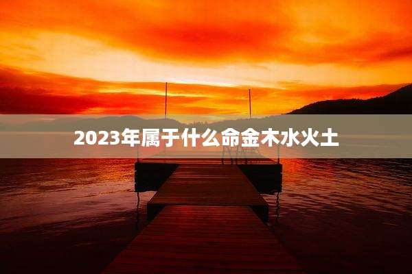 2023年属于什么命金木水火土